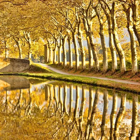 Chateau Terre Blanche